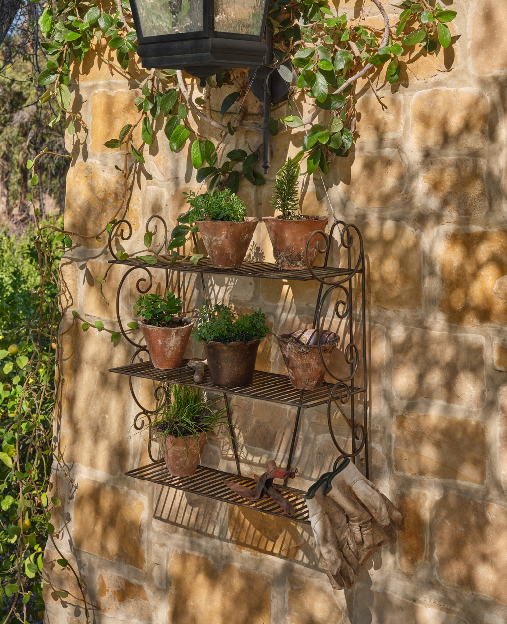 Olive Ateliers - Sonnet Potting Shelf