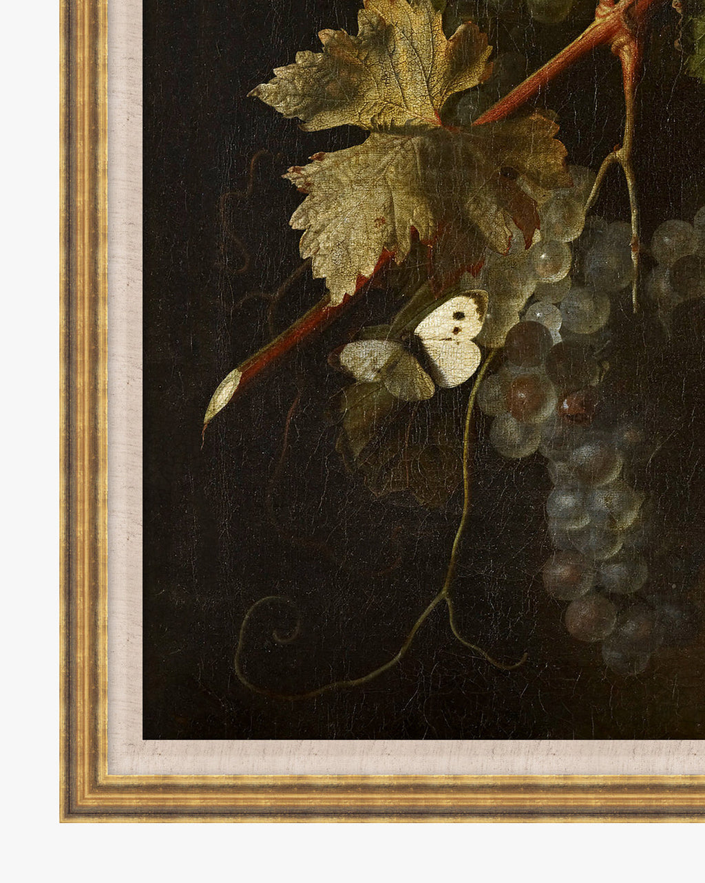 McGee & Co - Stillness of the Vine