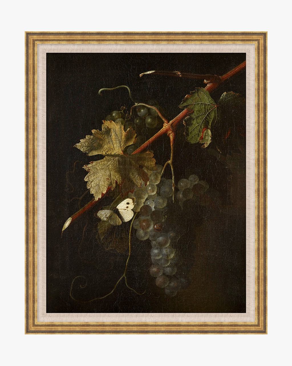 McGee & Co - Stillness of the Vine