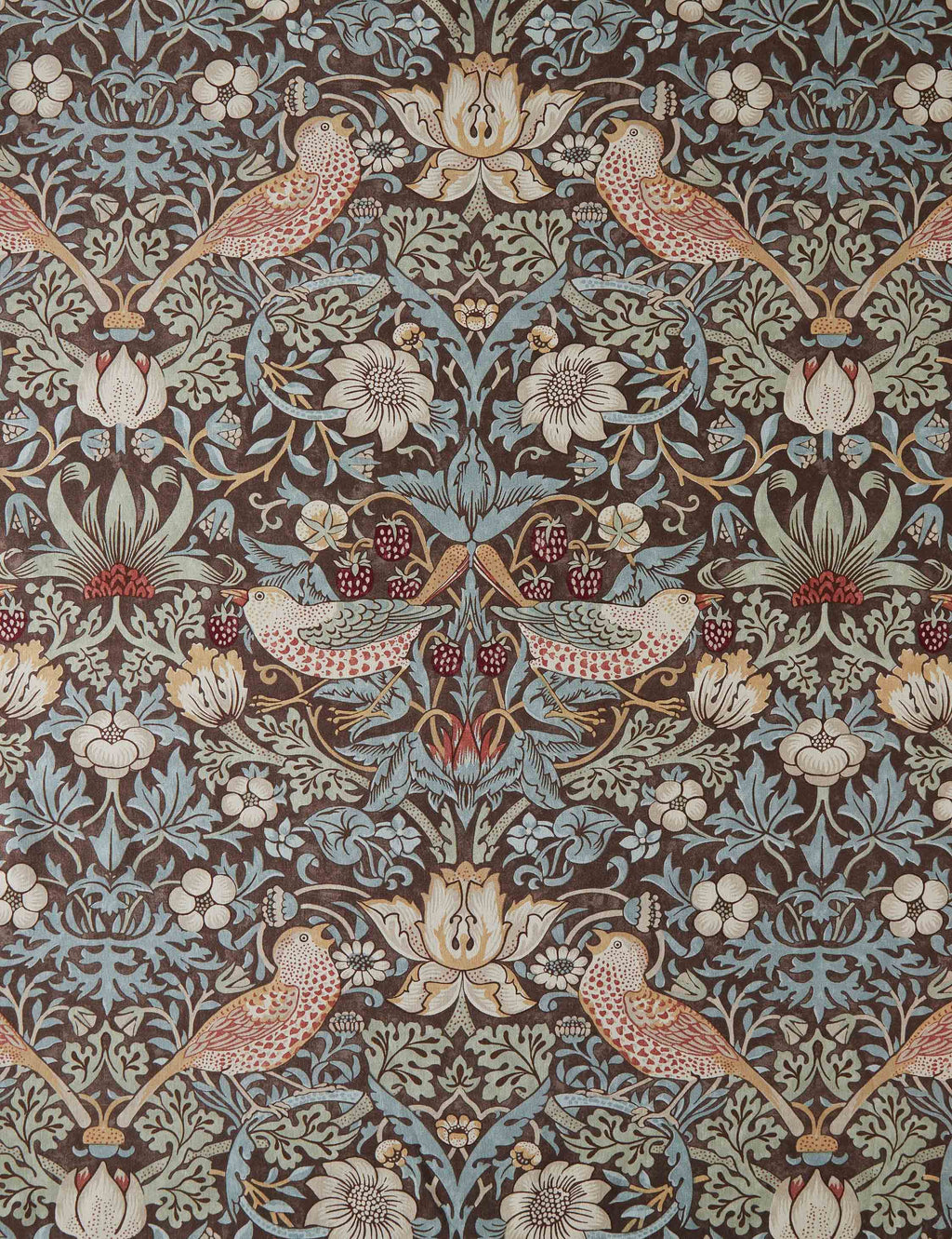 Lulu and Georgia - Strawberry Thief Cotton Fabric by Morris & Co.