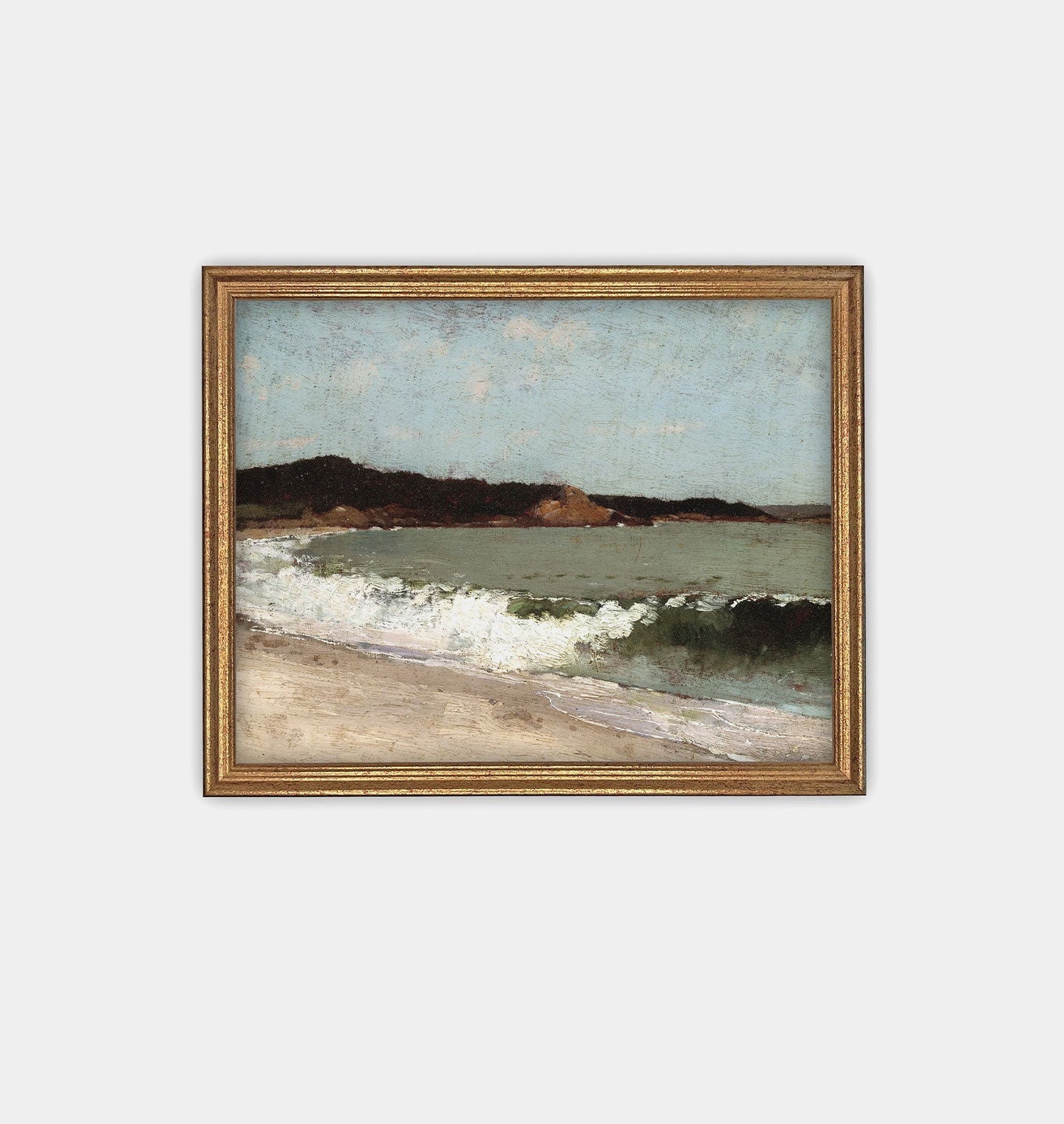 Amber Interiors - Study for Eagle Head Framed Print