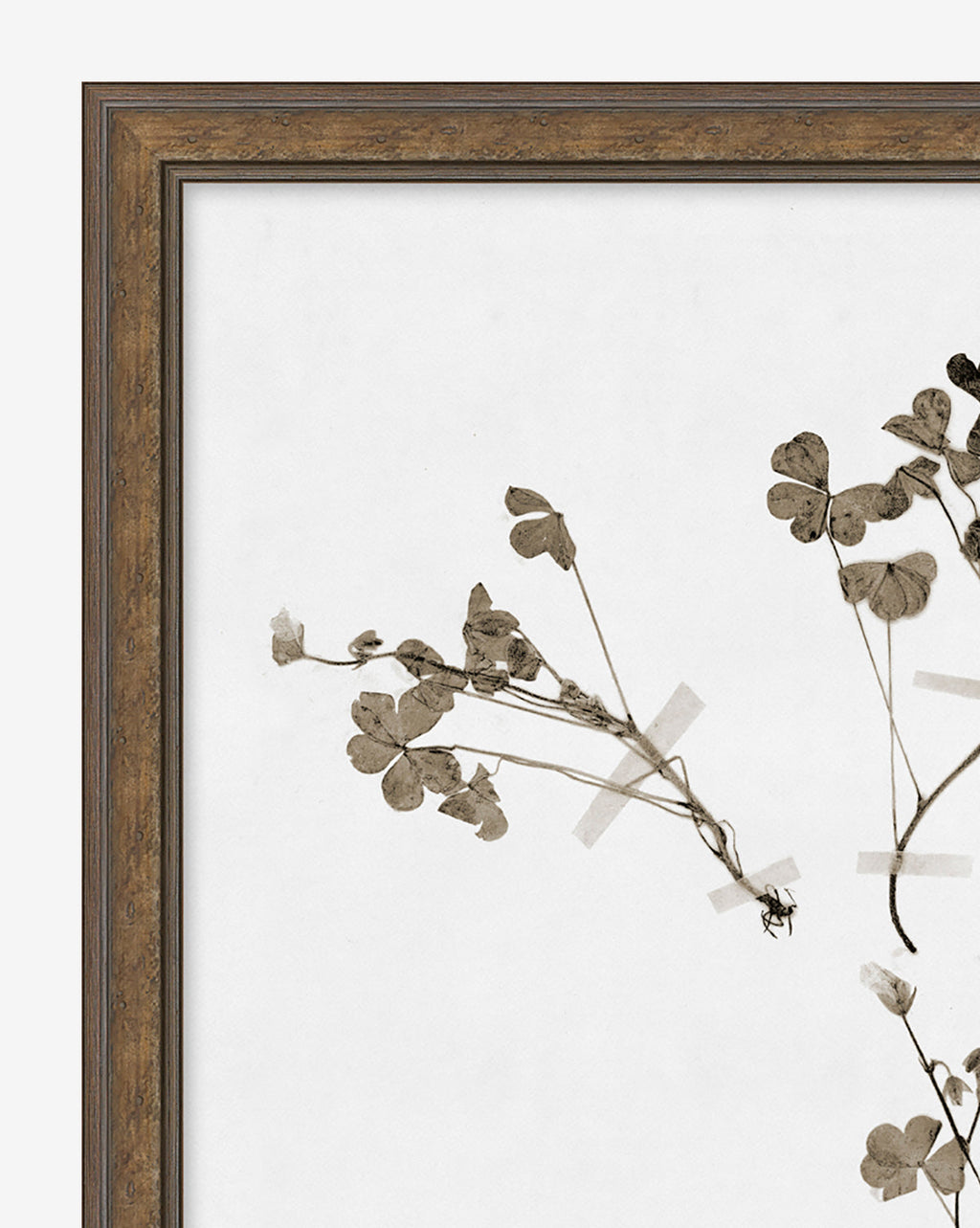 McGee & Co - Subdued Botanicals I