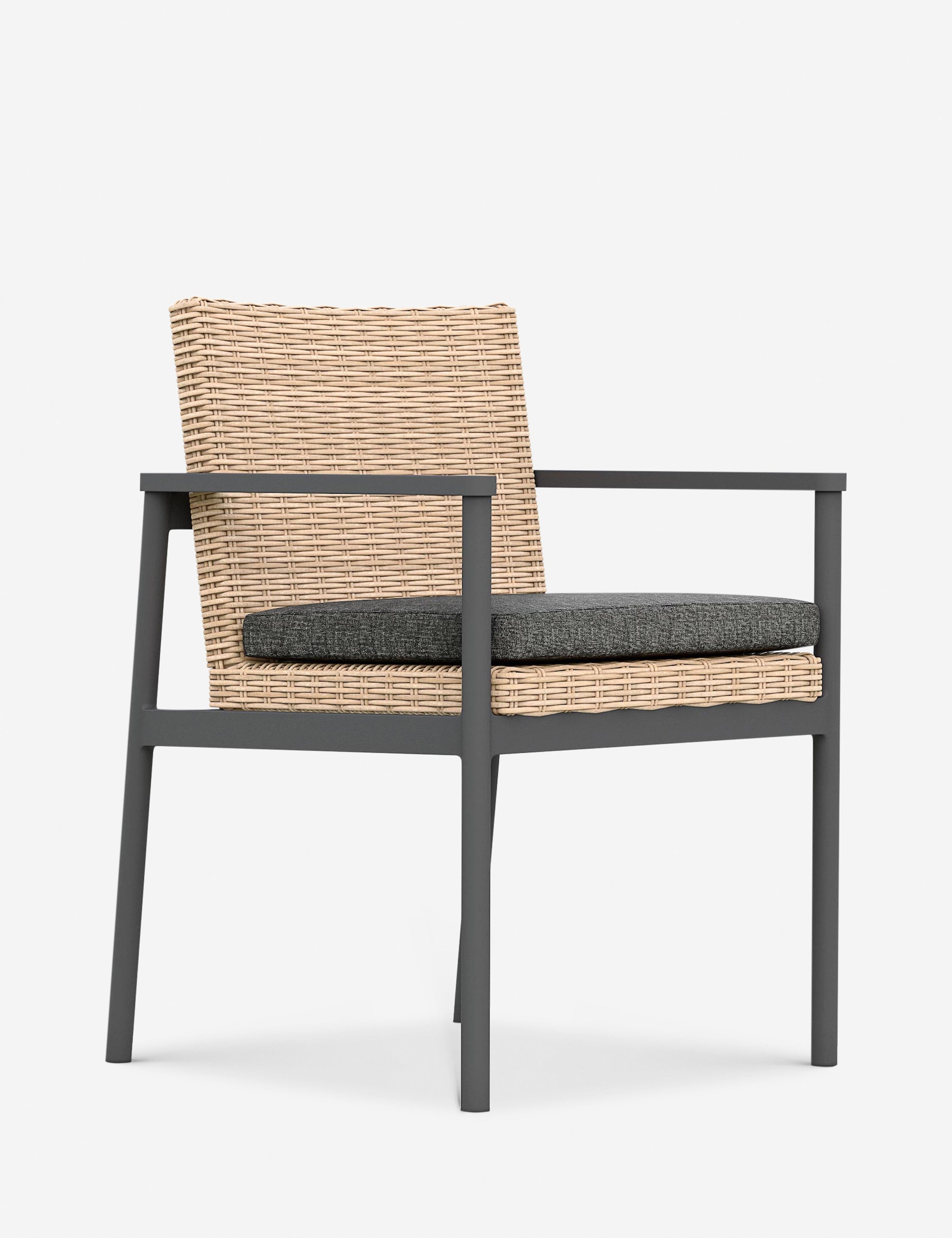 Lulu and Georgia - Walsh Indoor / Outdoor Dining Arm Chair (Set of 2)