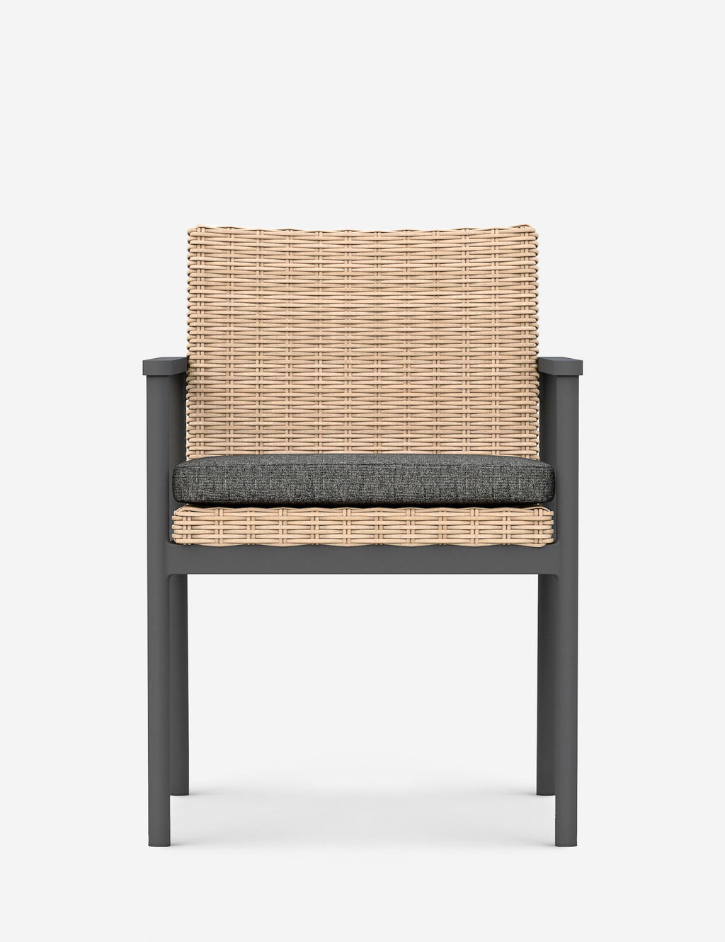 Lulu and Georgia - Walsh Indoor / Outdoor Dining Arm Chair (Set of 2)