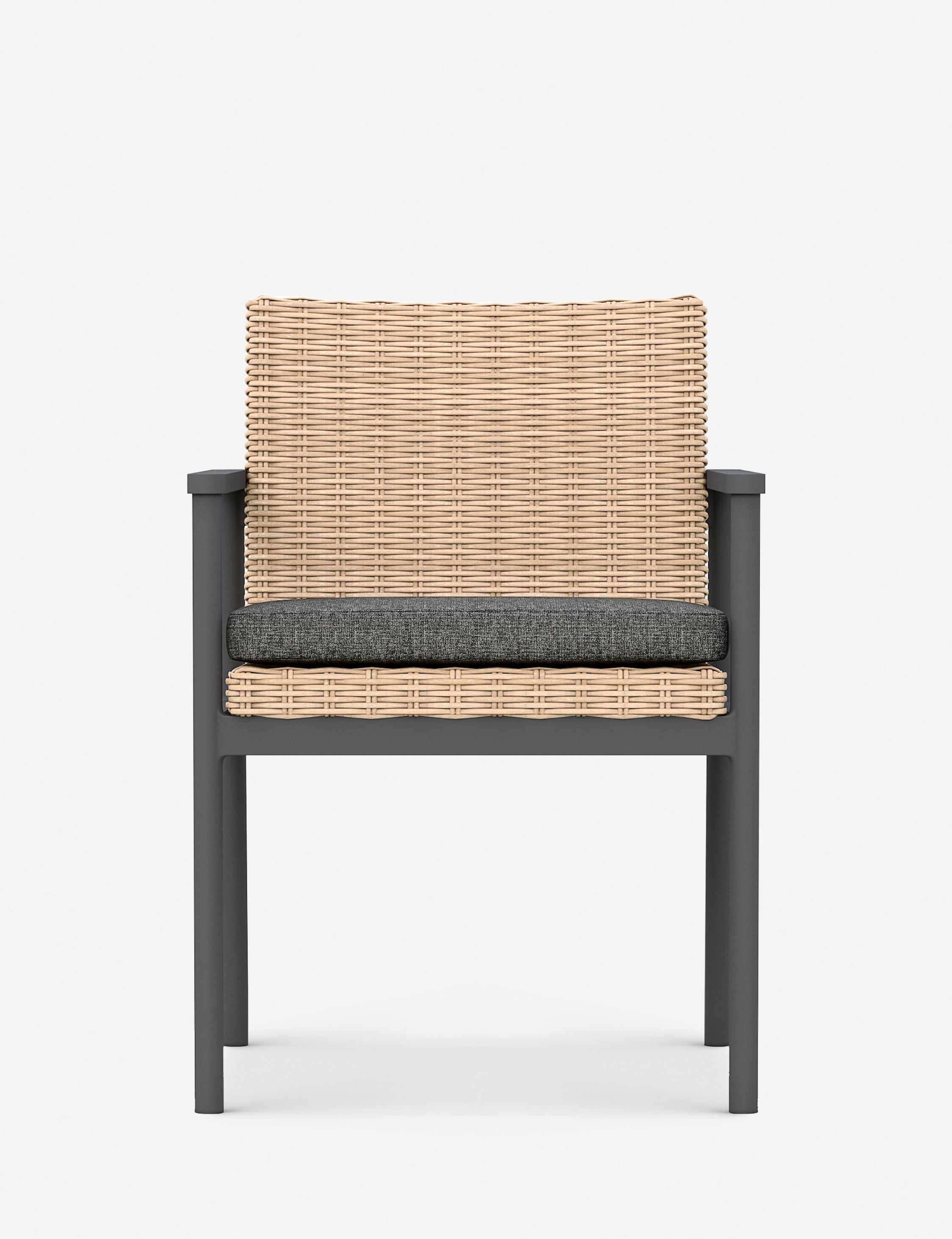 Lulu and Georgia - Walsh Indoor / Outdoor Dining Arm Chair (Set of 2)