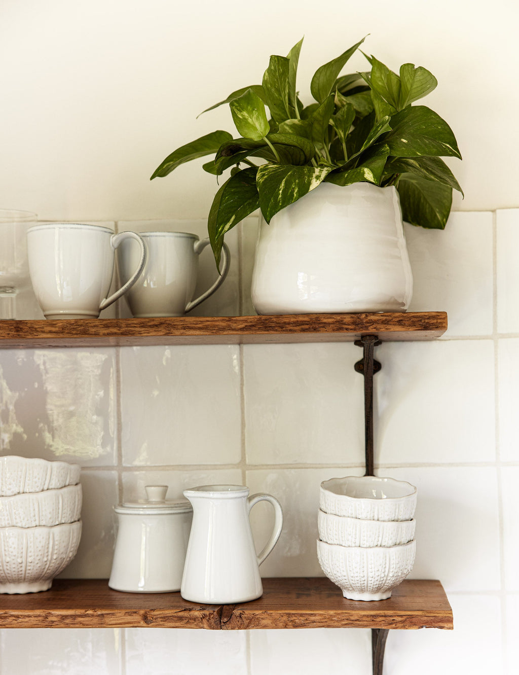 Lulu and Georgia - Aparte Cereal Bowl by Costa Nova