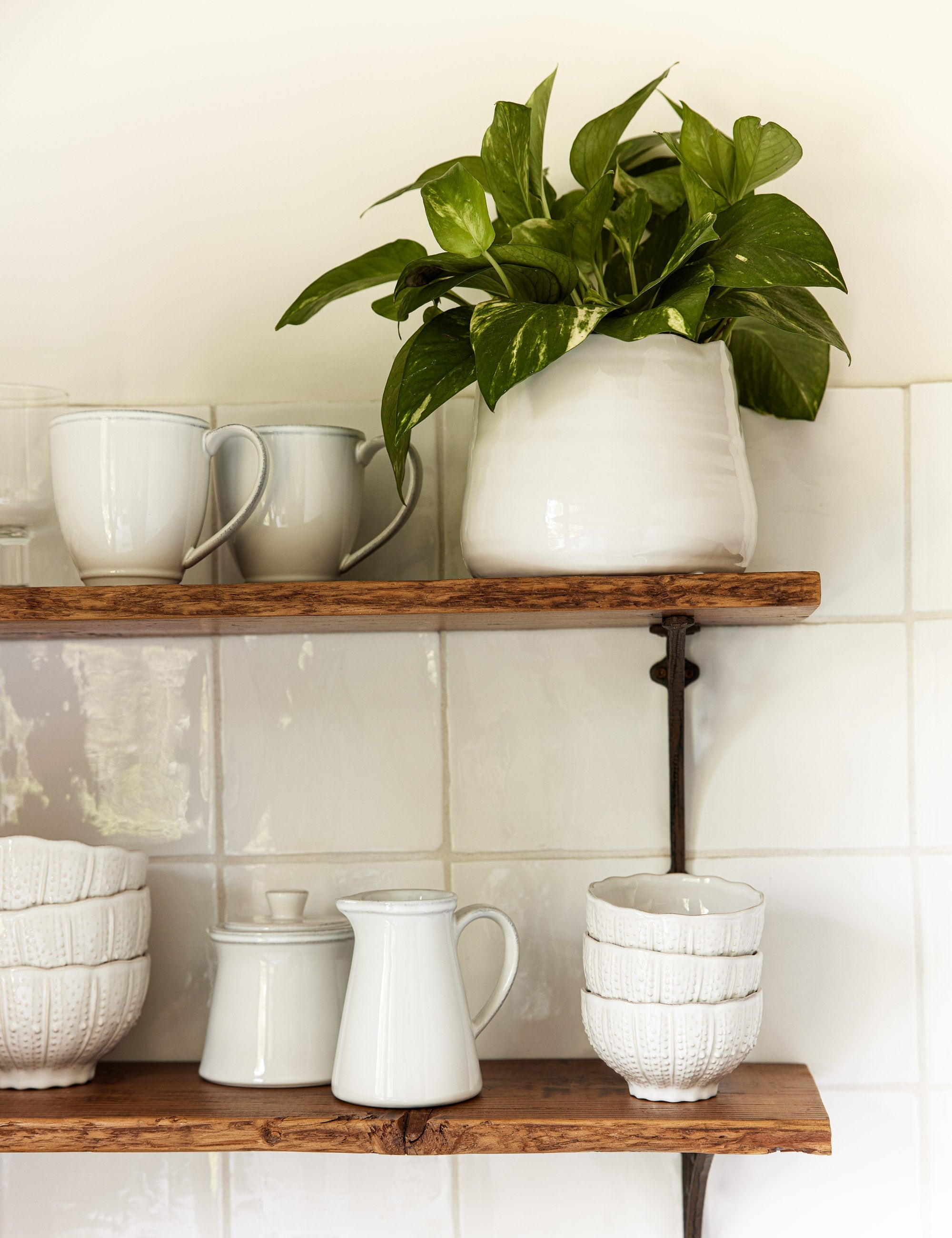 Lulu and Georgia - Aparte Cereal Bowl by Costa Nova