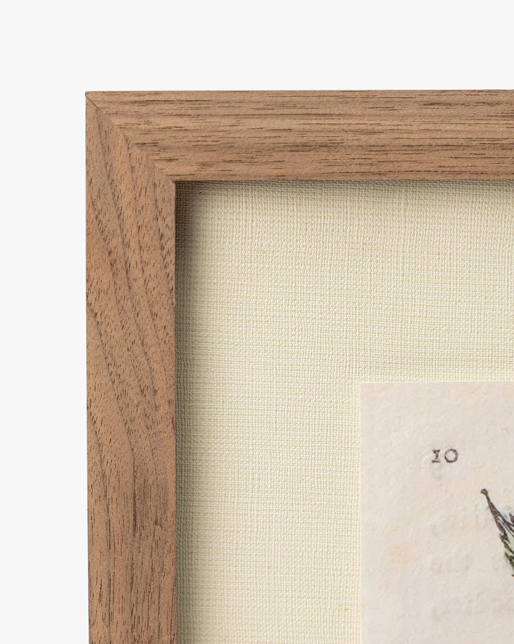 McGee & Co - Tea Shrub