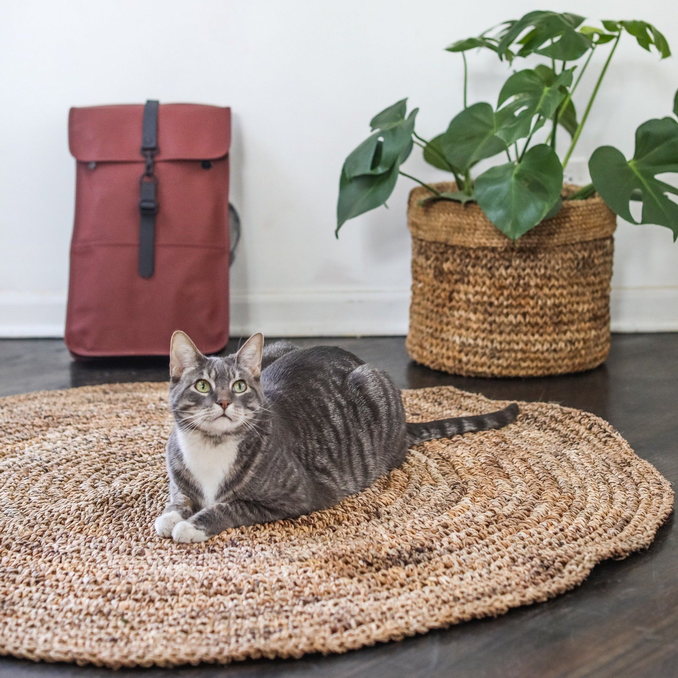 Terra Klay - Round Indoor/Outdoor Rug