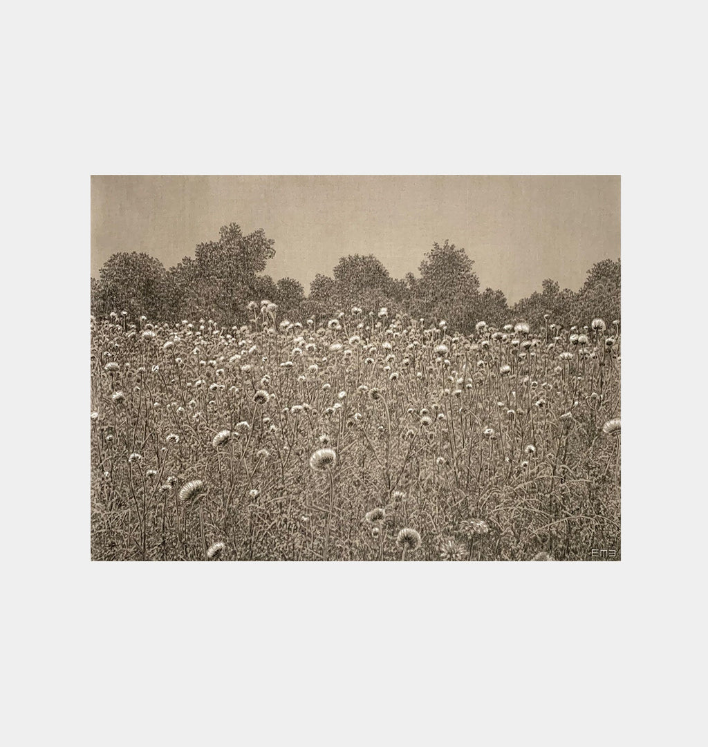 Amber Interiors - Thistle Fields
