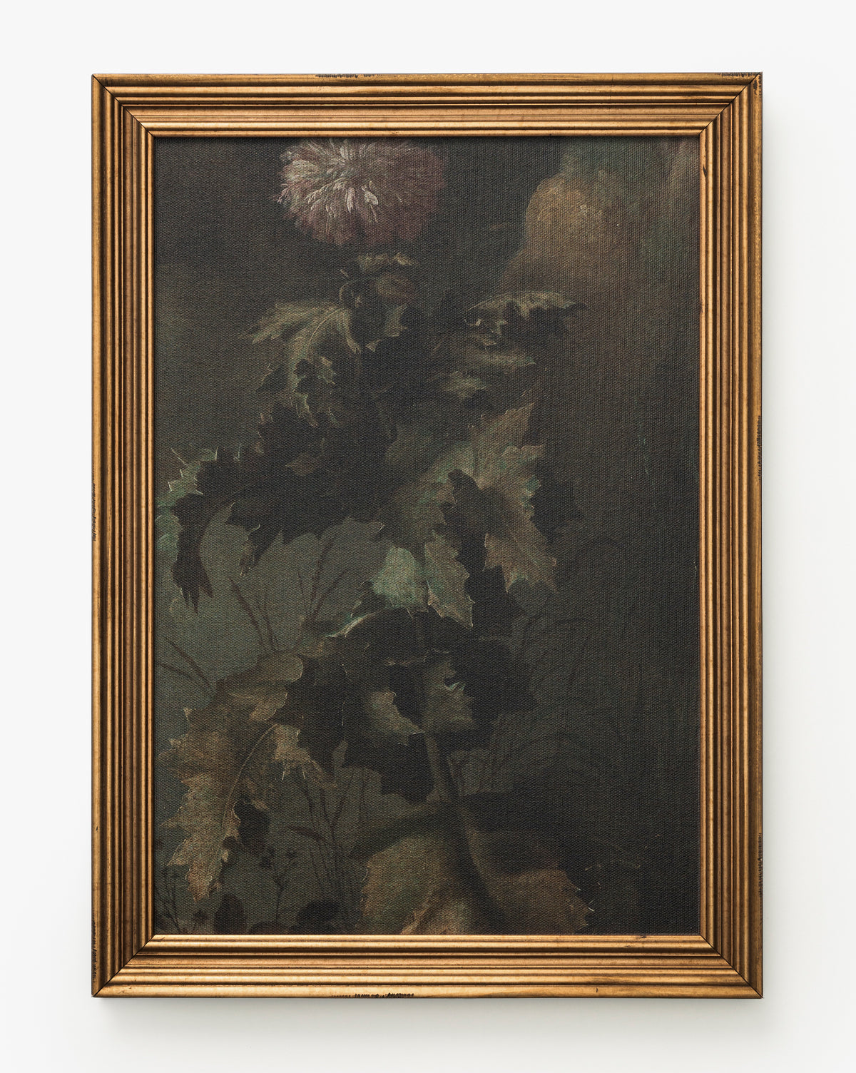 McGee & Co - Thistle Down