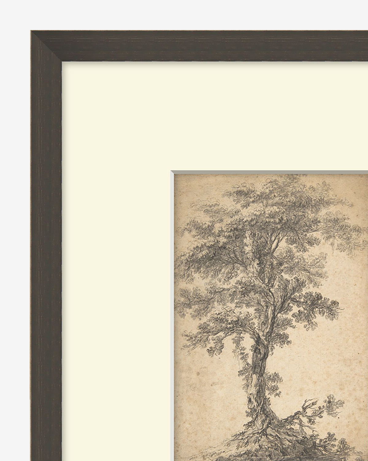 McGee & Co - Tree on a Hilltop