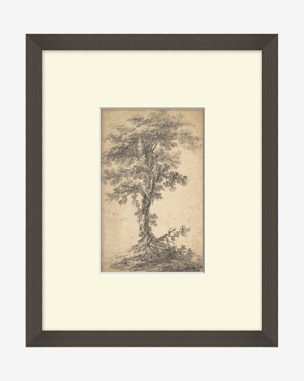 McGee & Co - Tree on a Hilltop