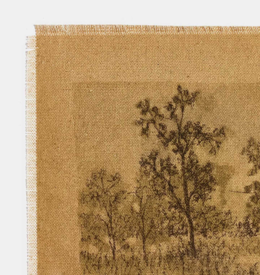 Amber Interiors - Untitled I Framed Print 22.5" x 32"