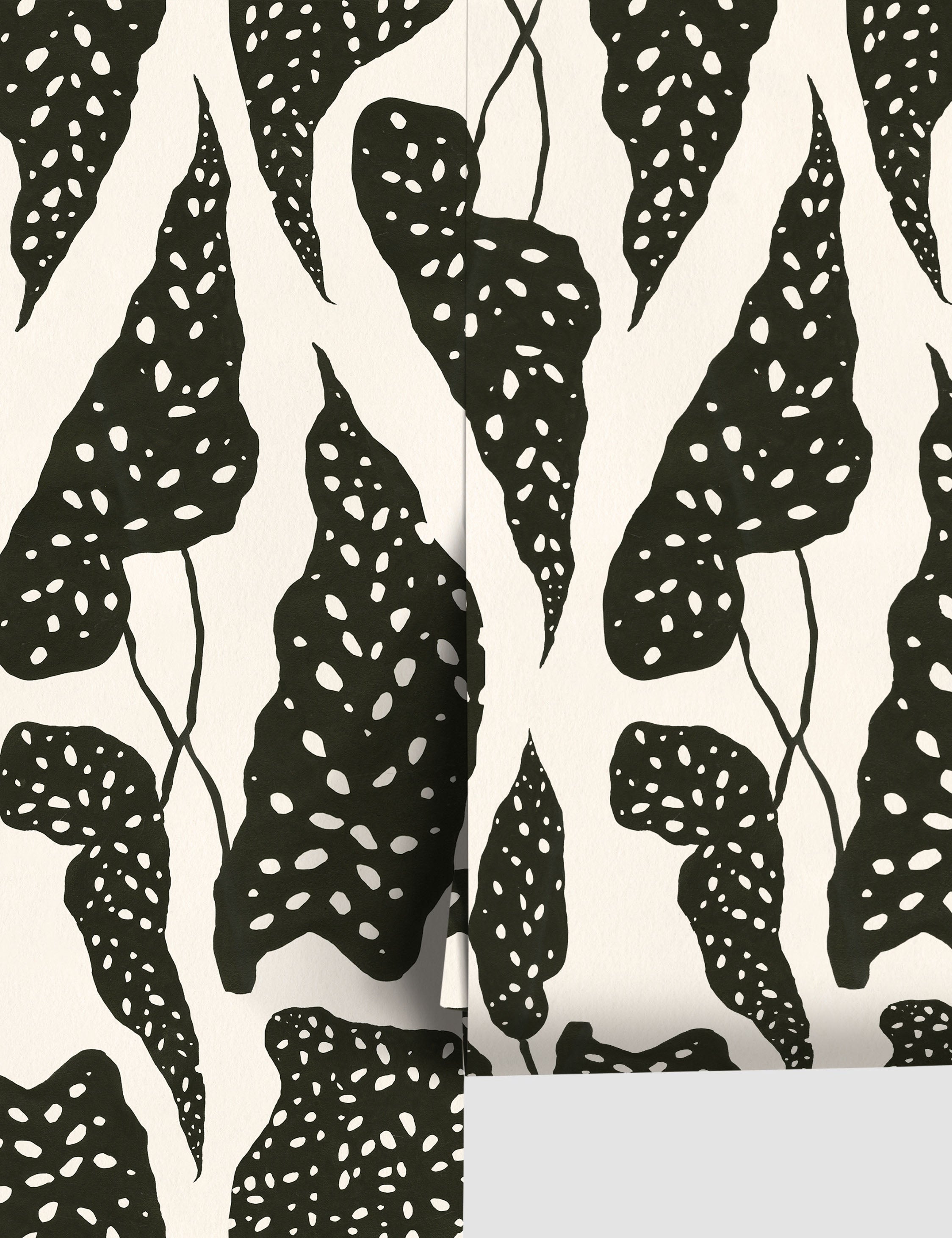 Lulu and Georgia - Begonia Wallpaper by Susan Hable