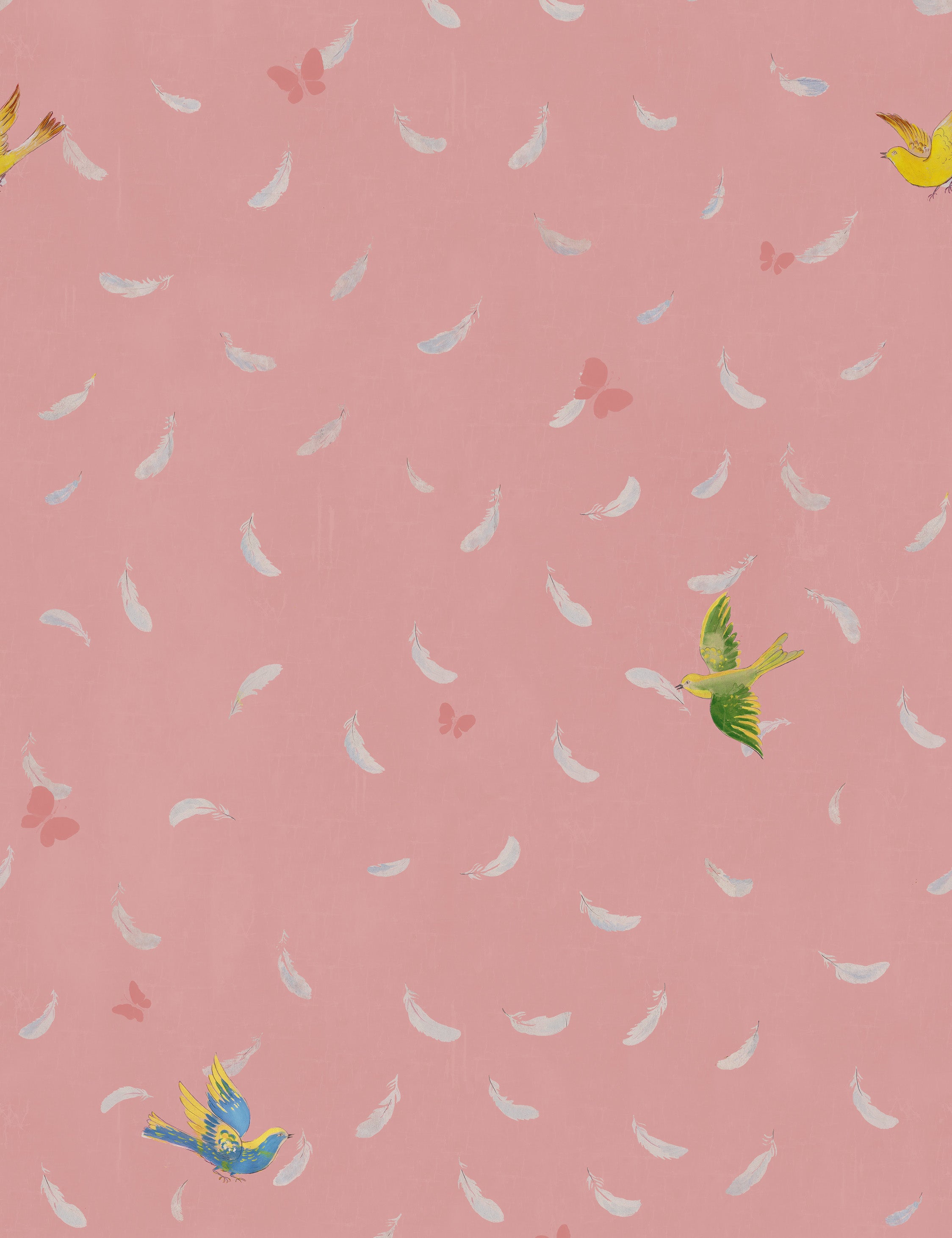 Lulu and Georgia - Feathers Wallpaper by Paule Marrot