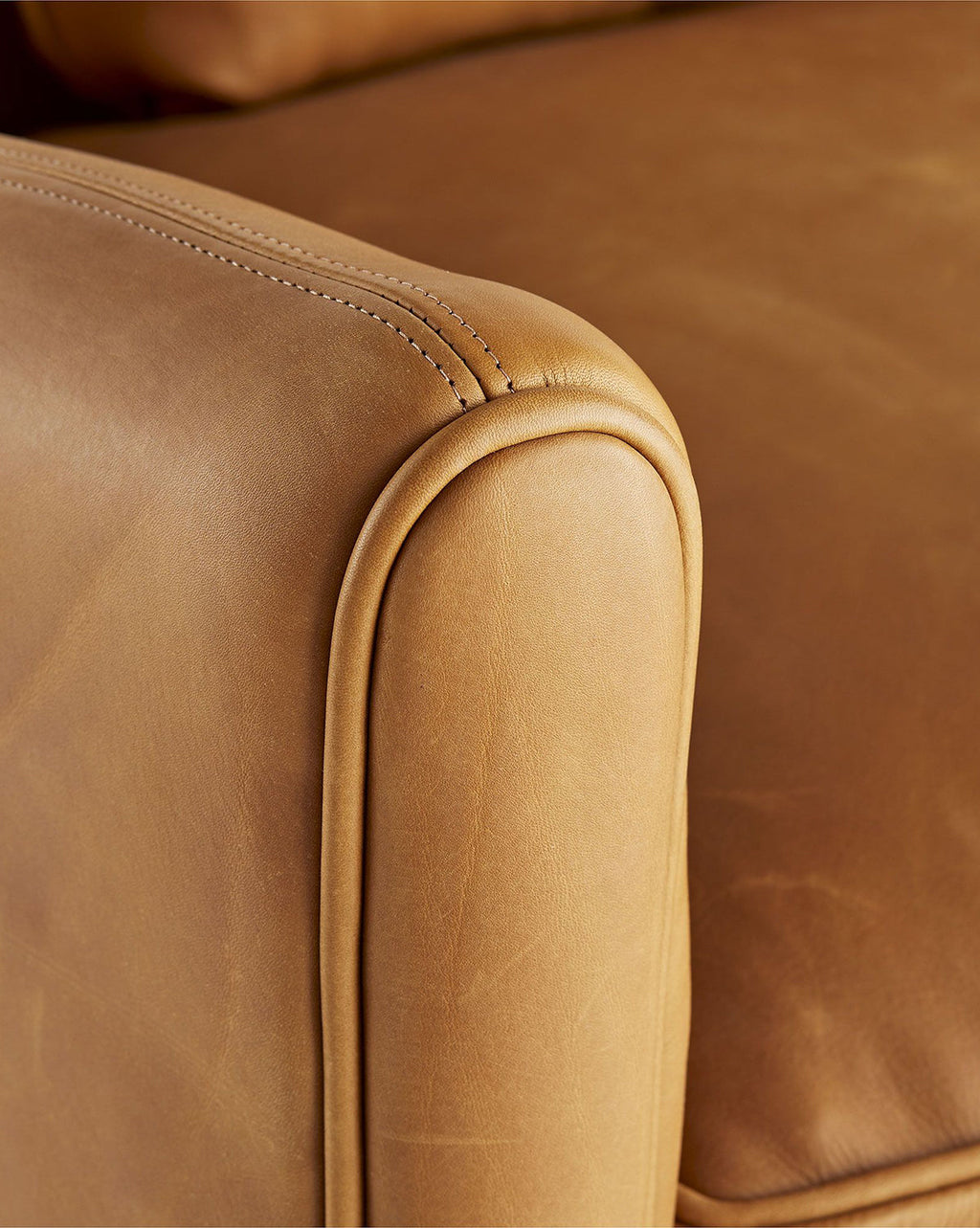 McGee & Co - Warner Leather Sofa 80.5"