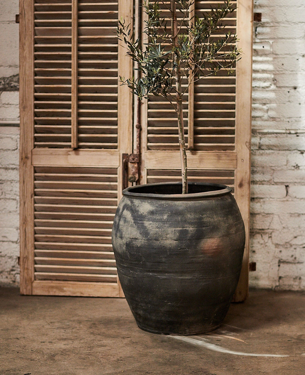 Olive Ateliers - Water Planter