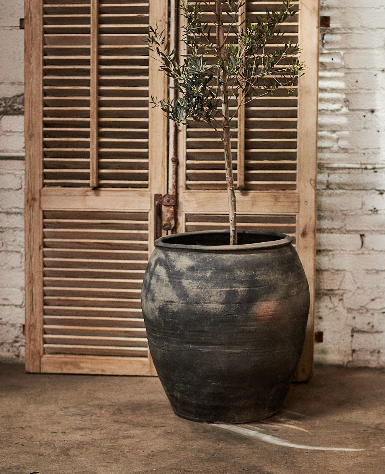 Olive Ateliers - Water Planter
