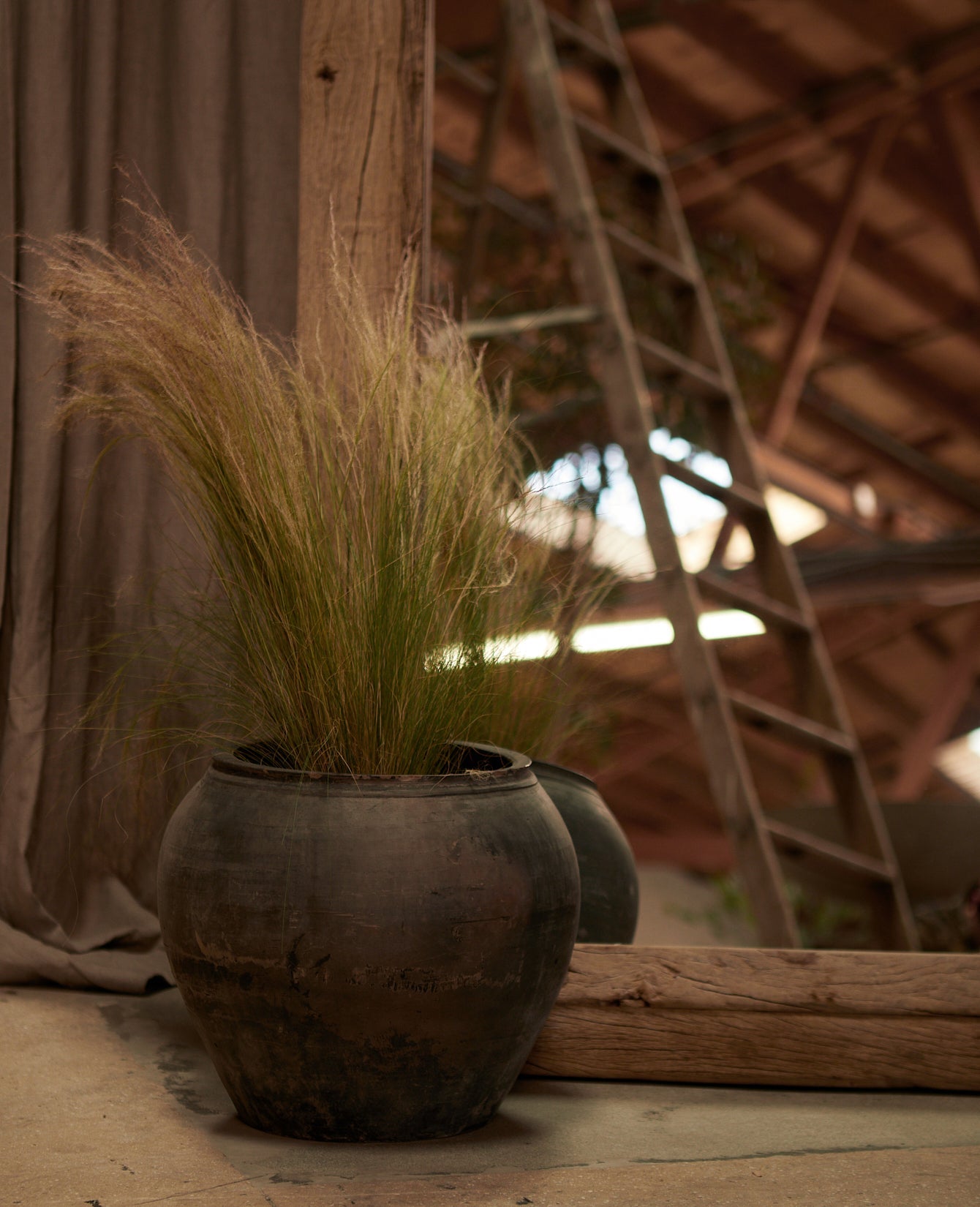 Olive Ateliers - Water Pot