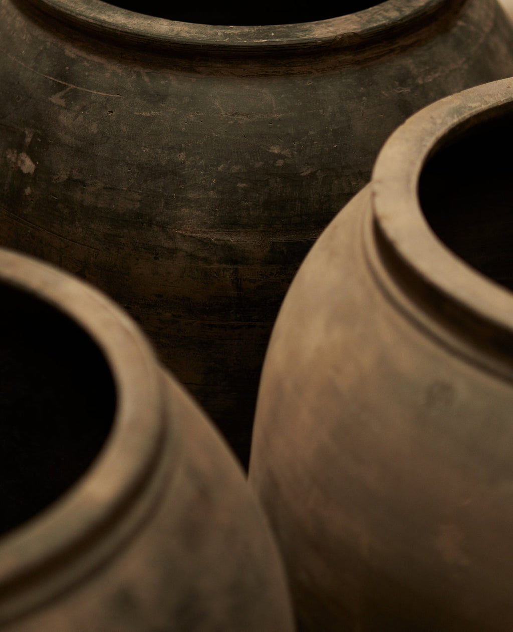 Olive Ateliers - Water Pot