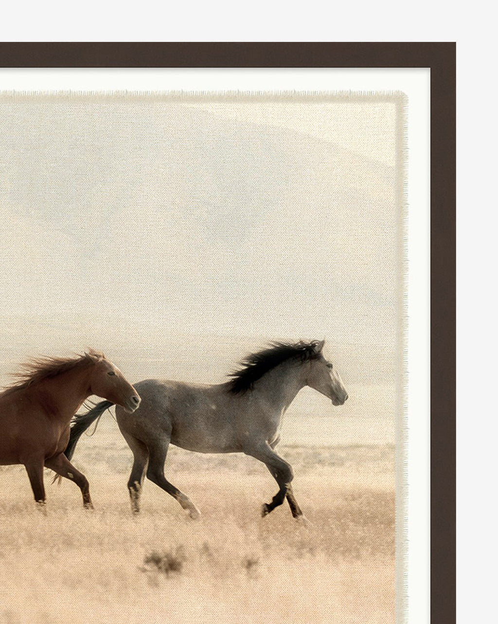 McGee & Co - Wild Horses