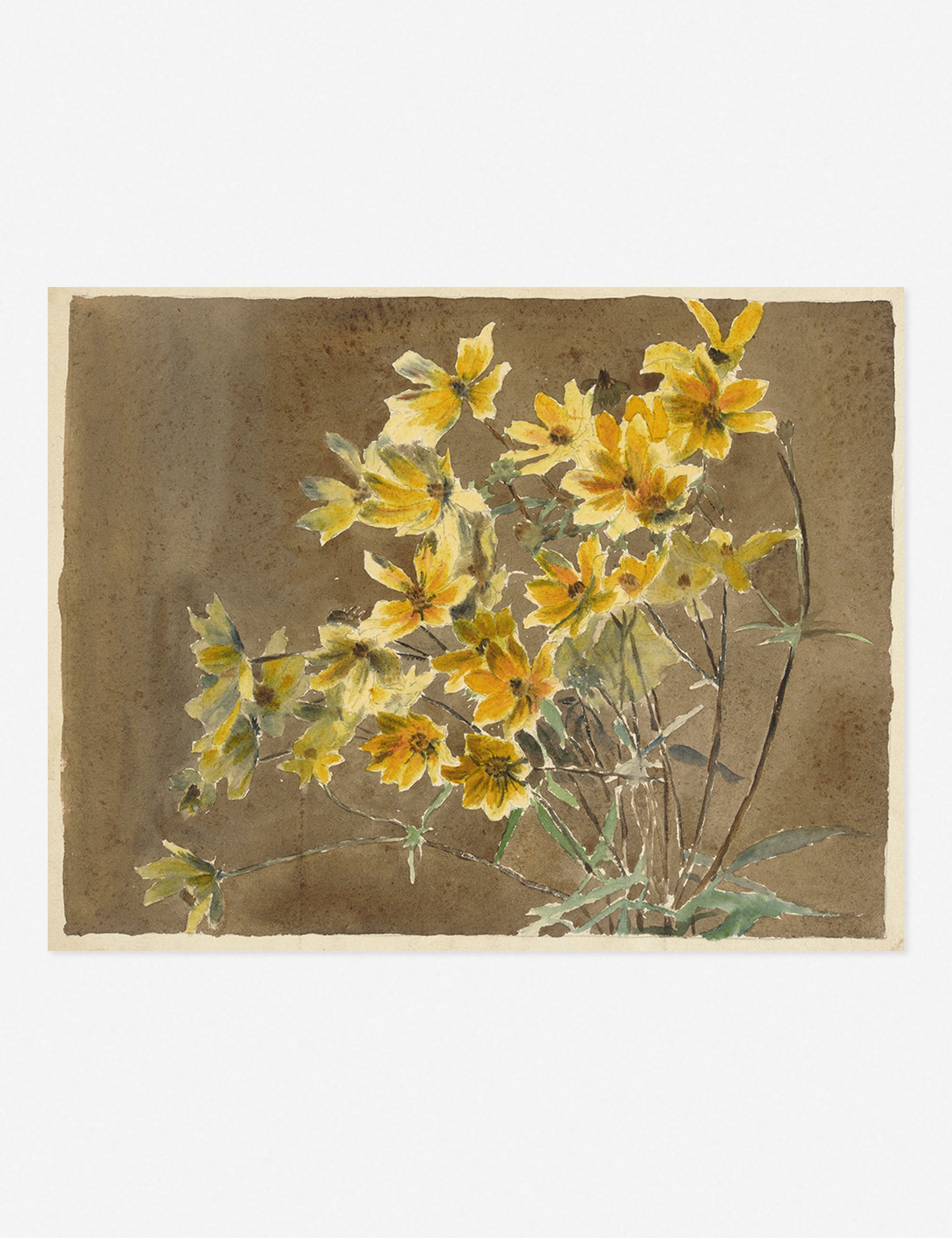 Lulu and Georgia - Yellow/Orange Flower with Border Print by Hannah Borger Overbeck