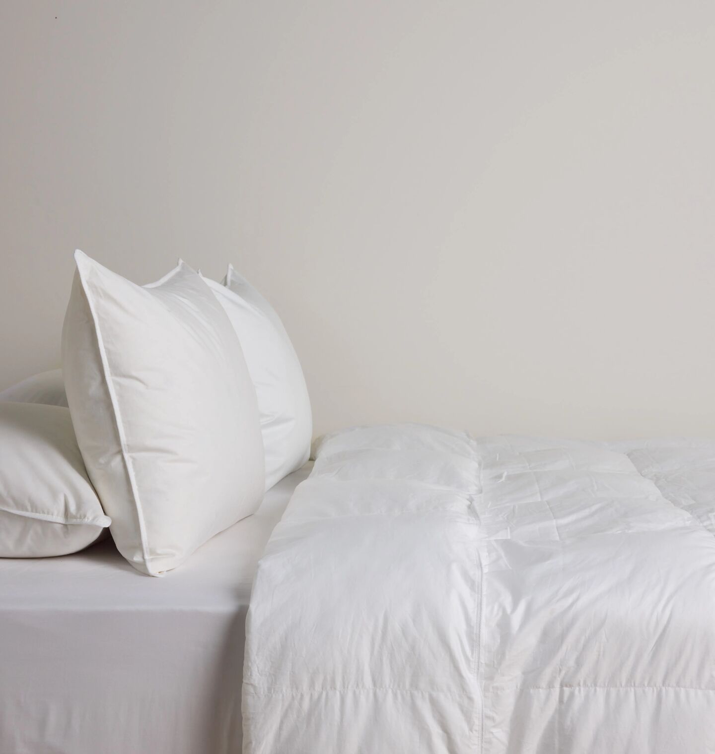 Amber Interiors - Goose Down Pillow Insert