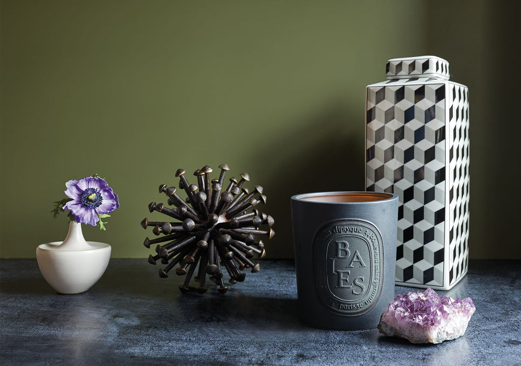 Jayson Home - Diptyque Baies Ceramic Candle