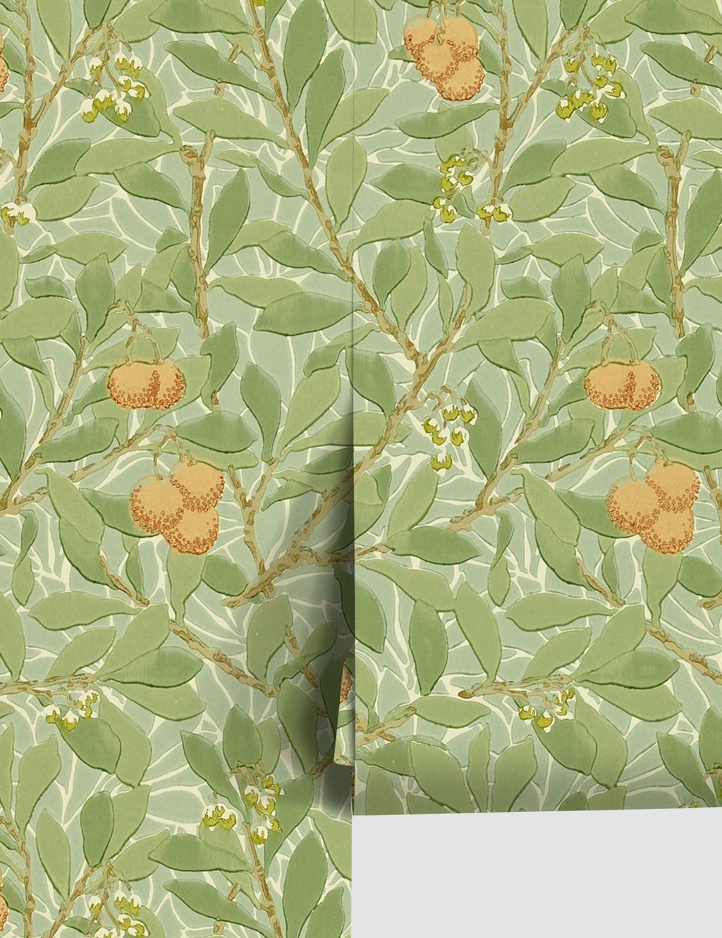 Lulu and Georgia - Arbutus Wallpaper by Morris & Co.
