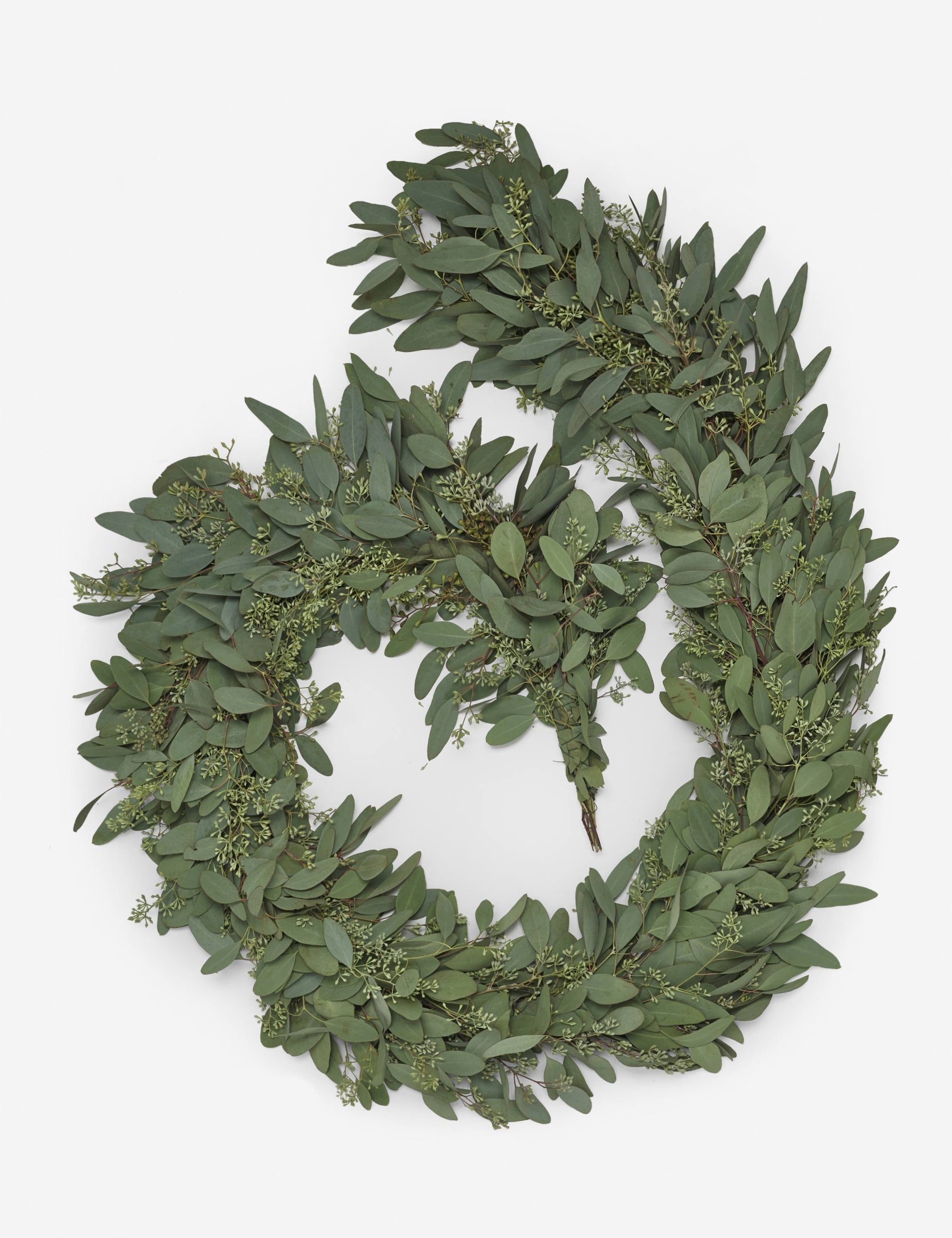 Lulu and Georgia - Fresh Handmade Seeded Eucalyptus Garland