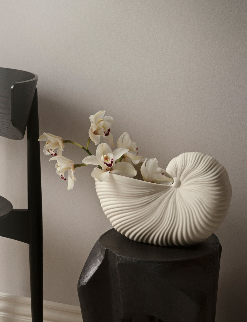 Lulu and Georgia - Shell Pot by Ferm Living