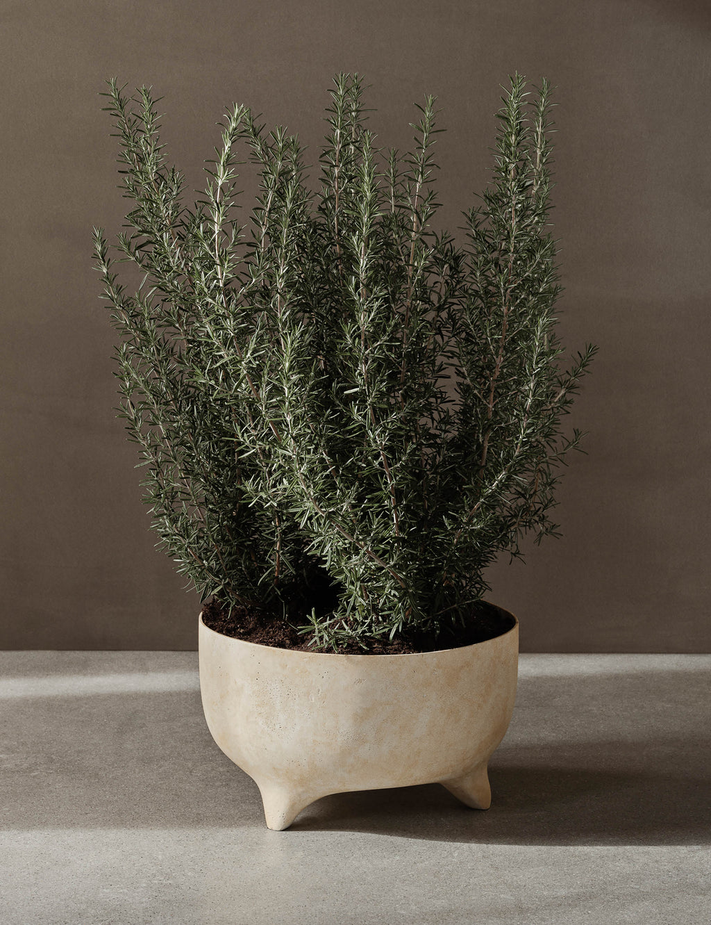 Lulu and Georgia - Evoke Pot by Ferm Living