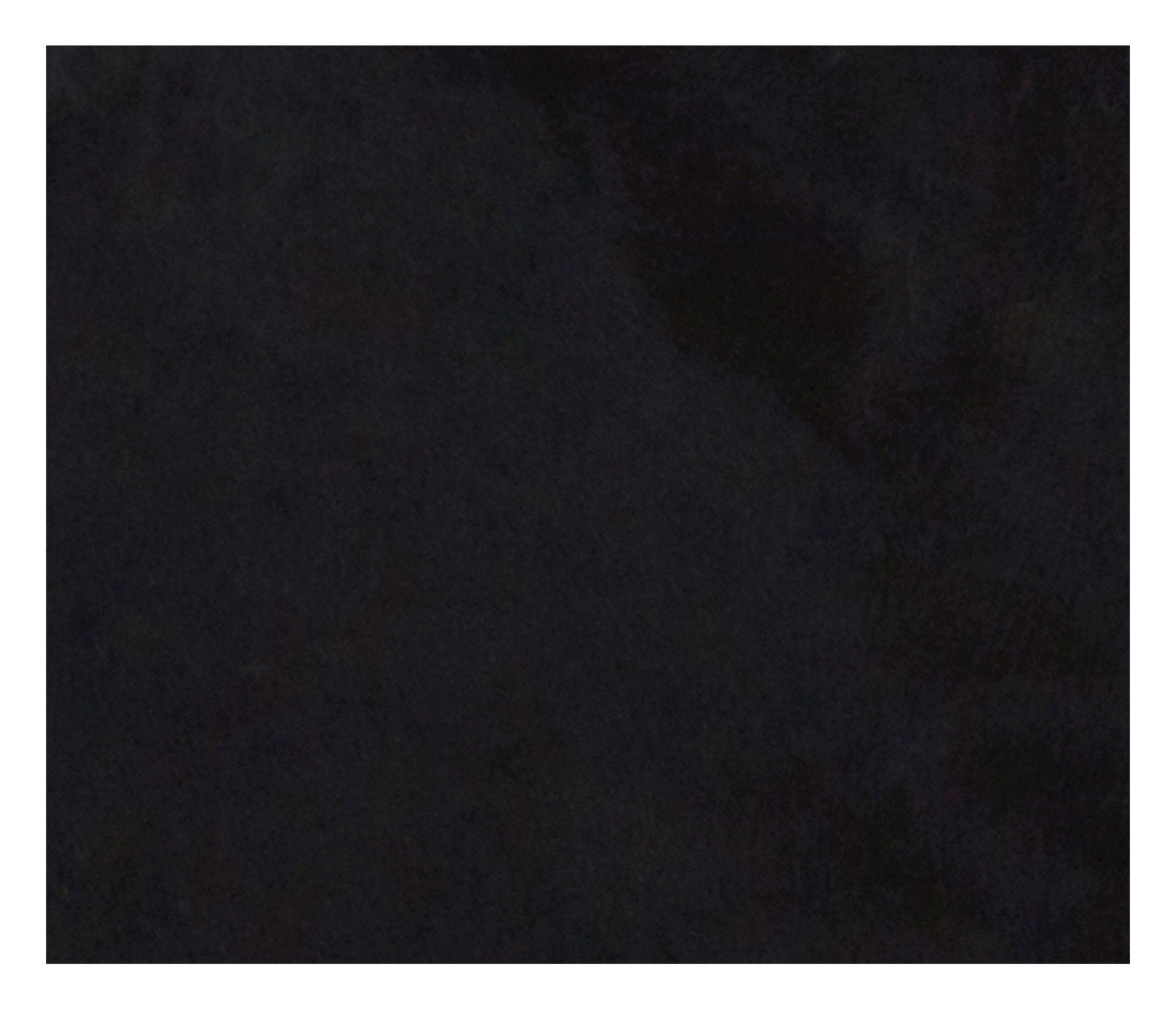 Jayson Home - Black Cowhide