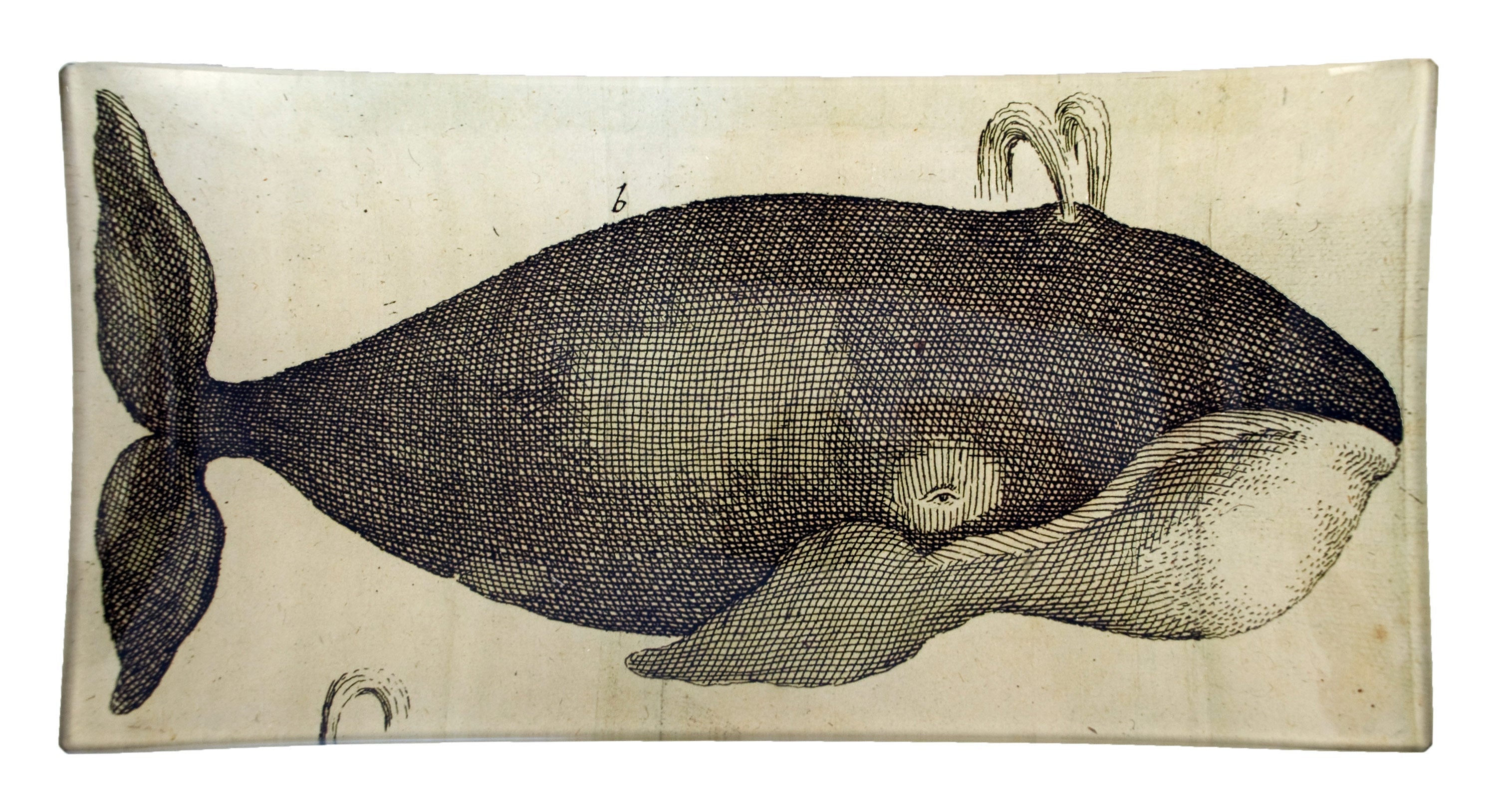 Jayson Home - Spouting Whale Tray
