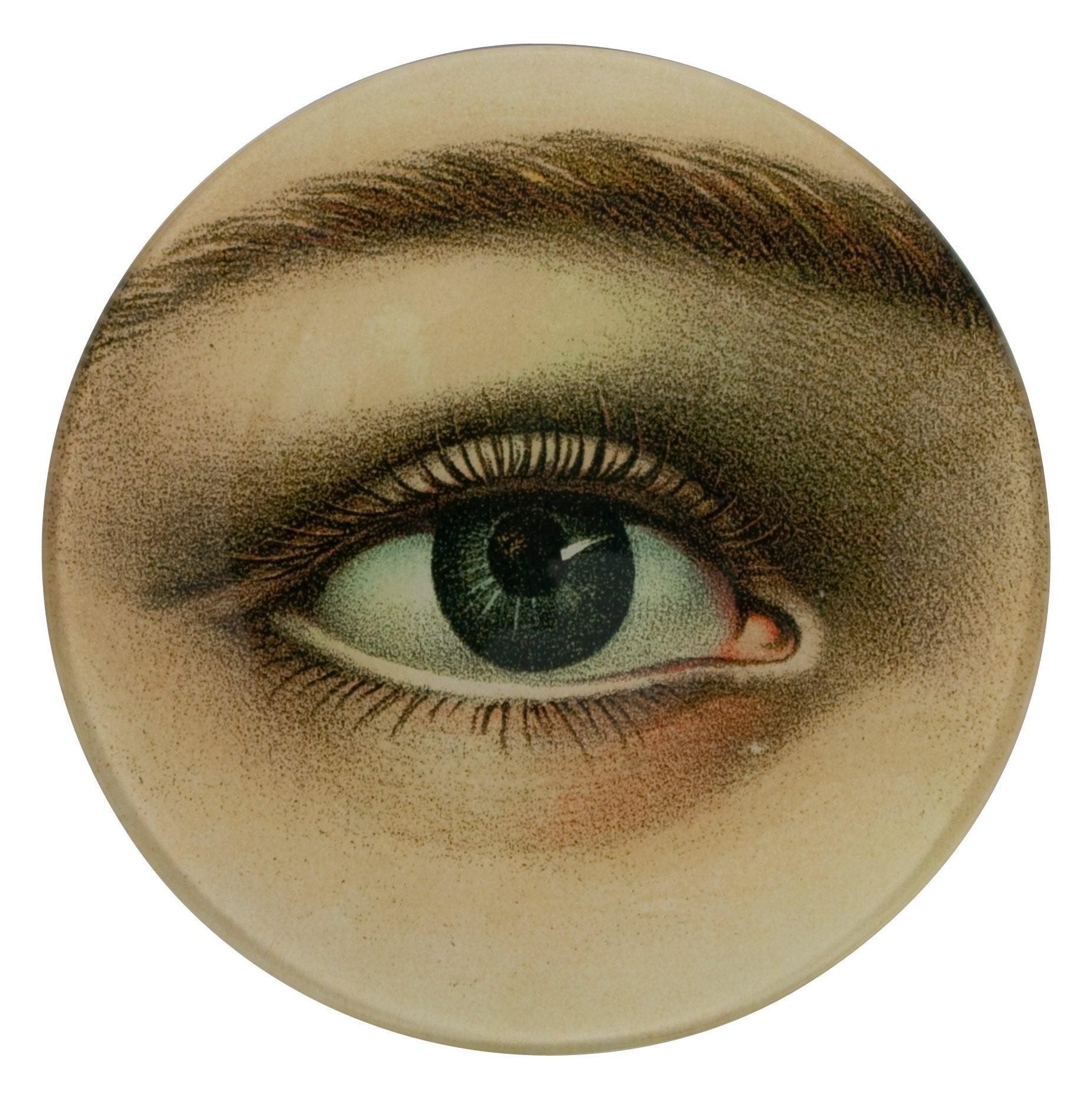 Jayson Home - Right Eye Plate