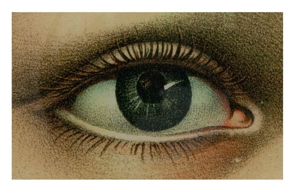 Jayson Home - Right Eye Plate