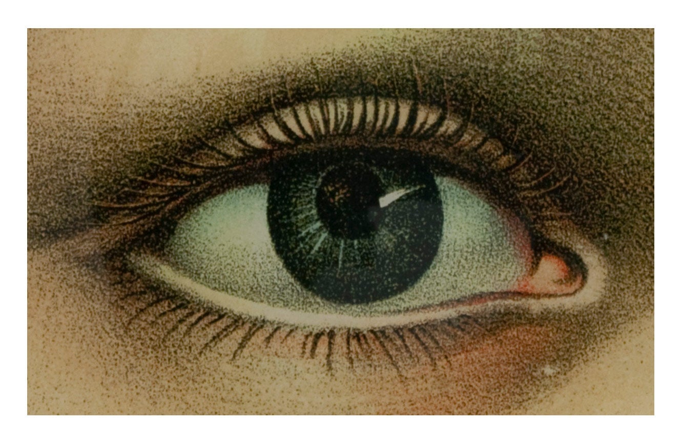 Jayson Home - Right Eye Plate