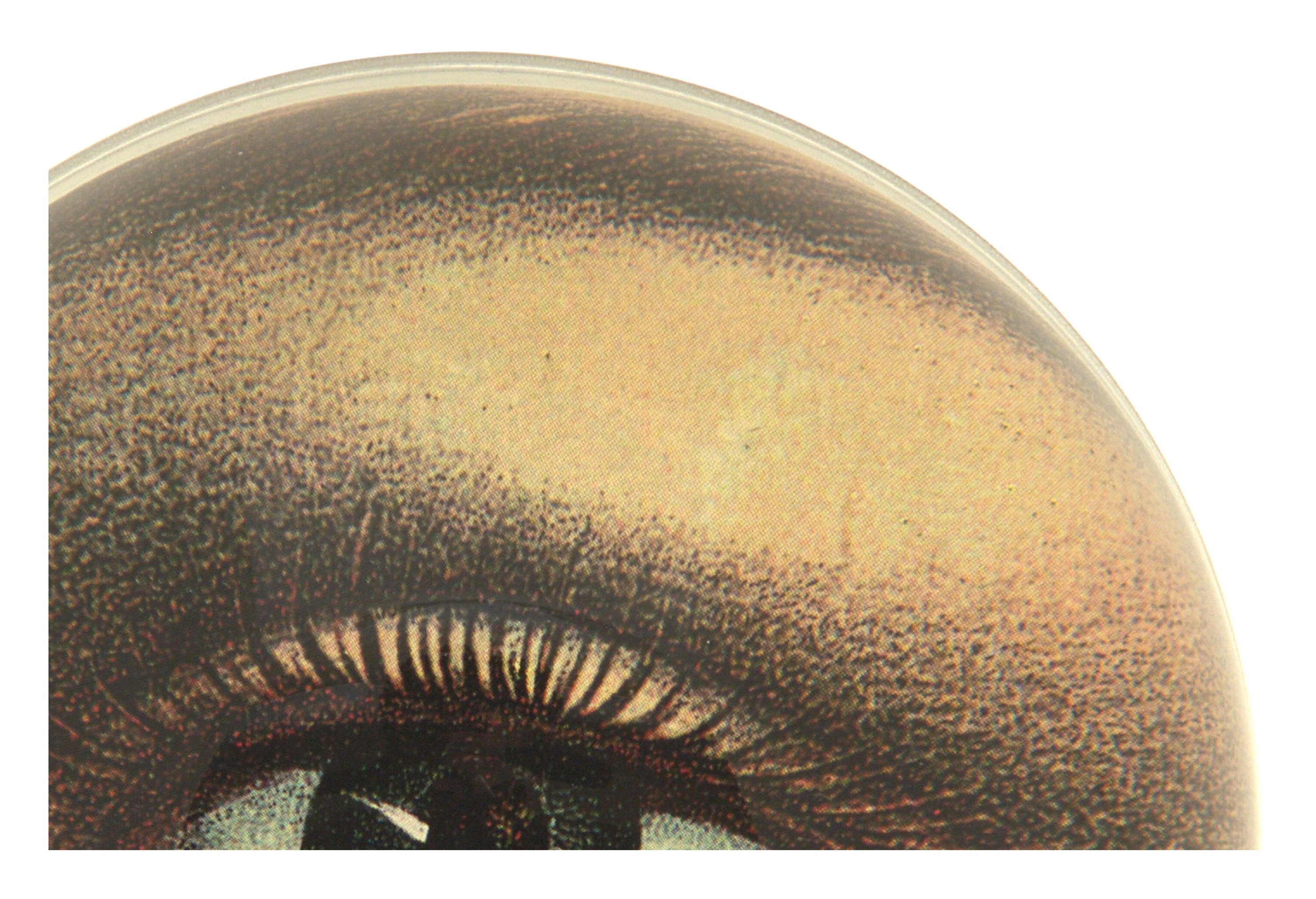 Jayson Home - Left Eye Paperweight
