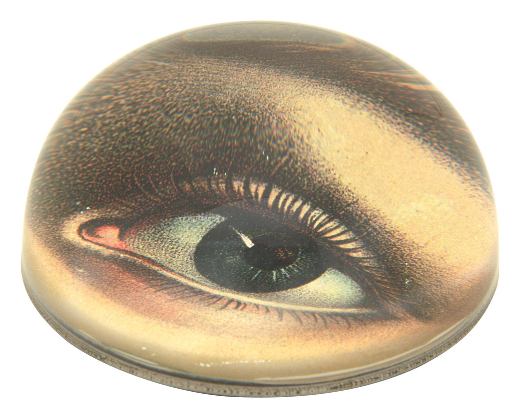 Jayson Home - Left Eye Paperweight