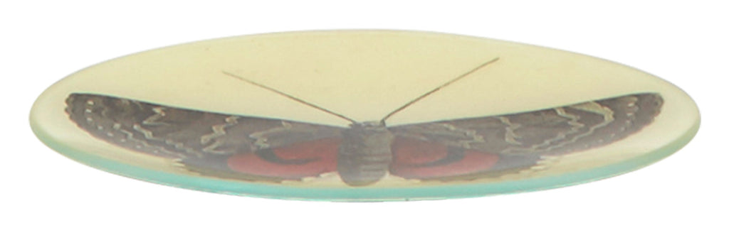 Jayson Home - Red and Brown Butterfly Oval Tray