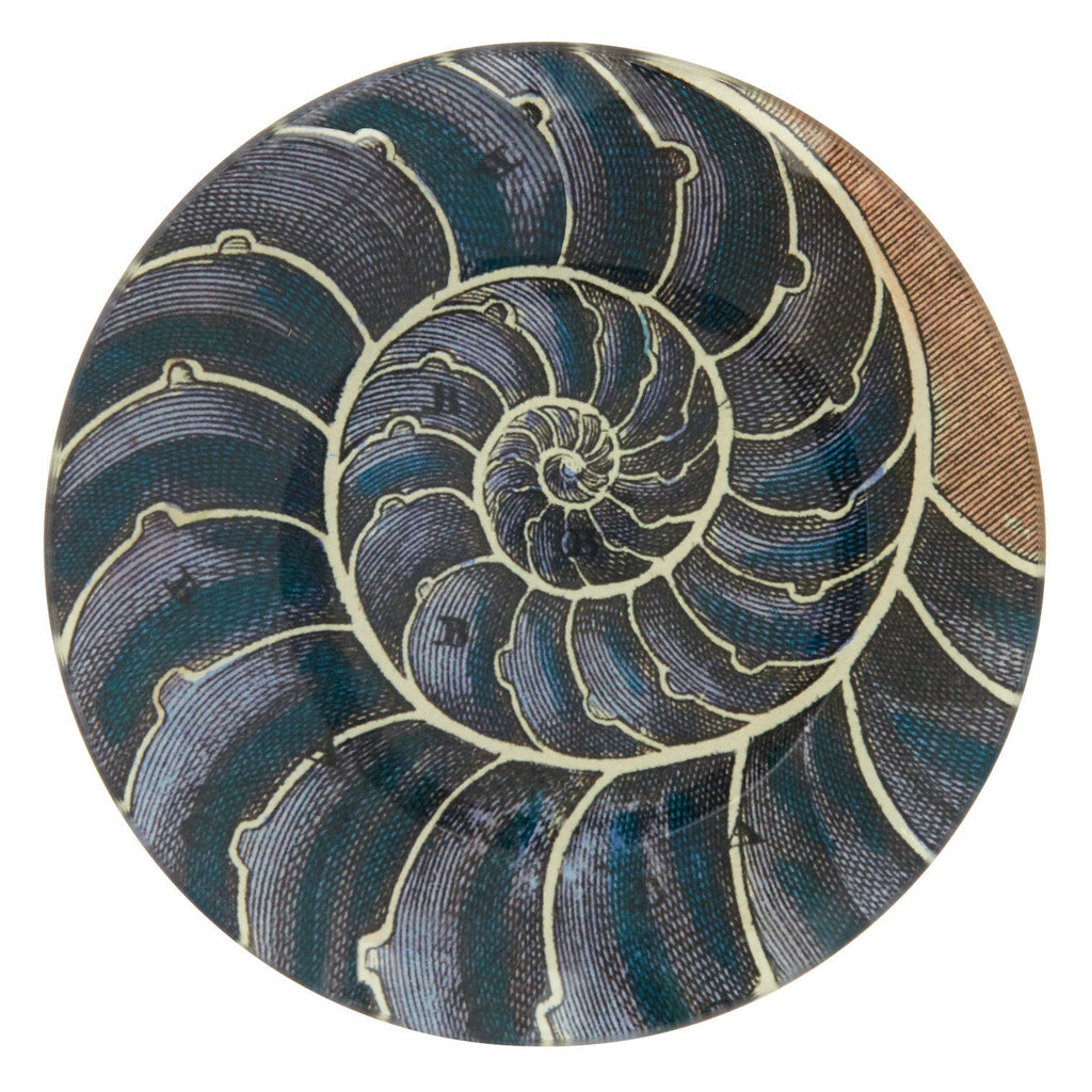 Jayson Home - Blue Nautilus Plate
