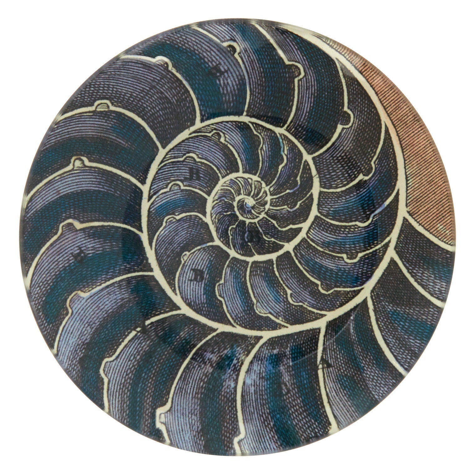 Jayson Home - Blue Nautilus Plate