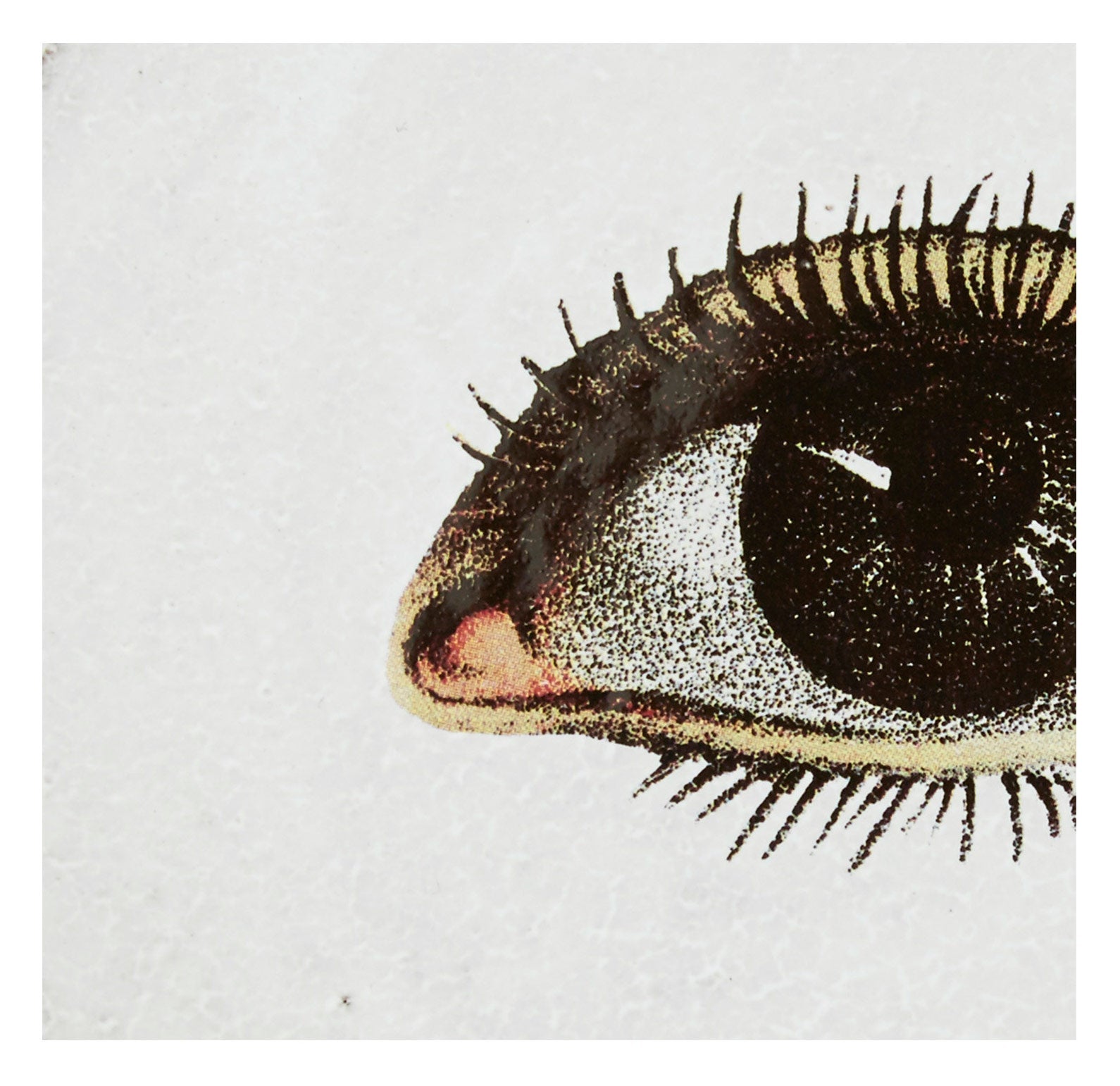 Jayson Home - Astier de Villatte Left Eye Saucer