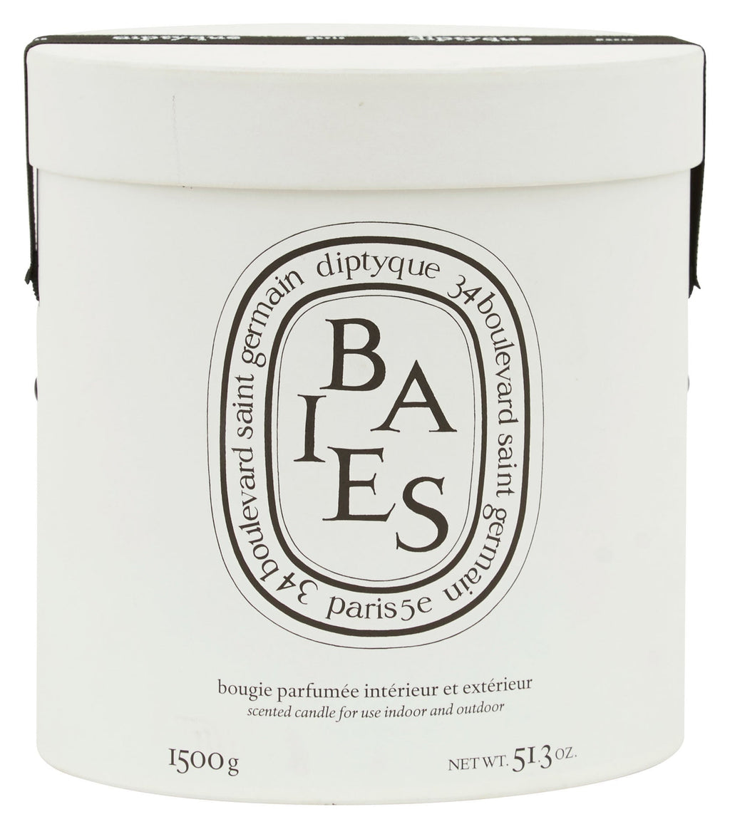 Jayson Home - Diptyque Baies Ceramic Candle