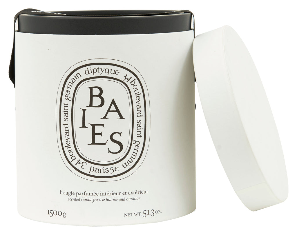 Jayson Home - Diptyque Baies Ceramic Candle