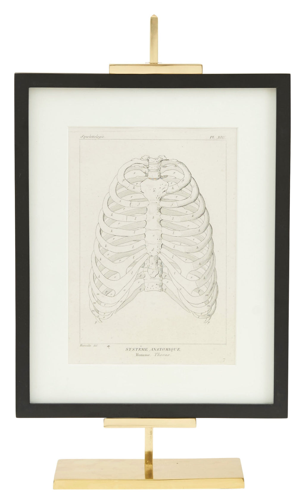 Jayson Home - Adjustable Easels