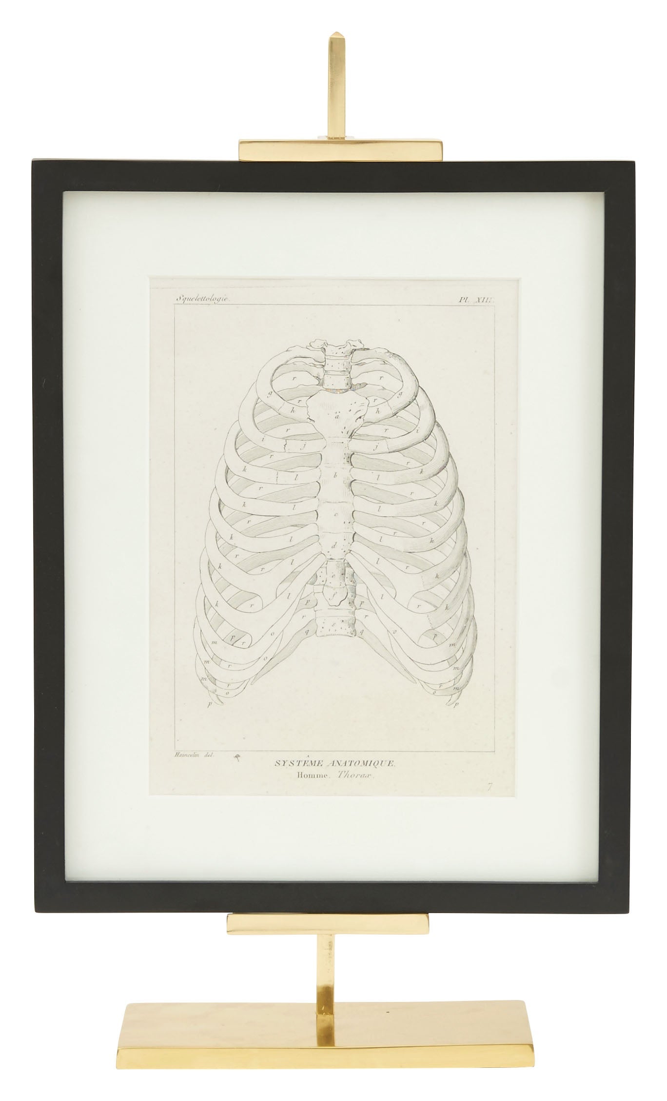 Jayson Home - Adjustable Easels