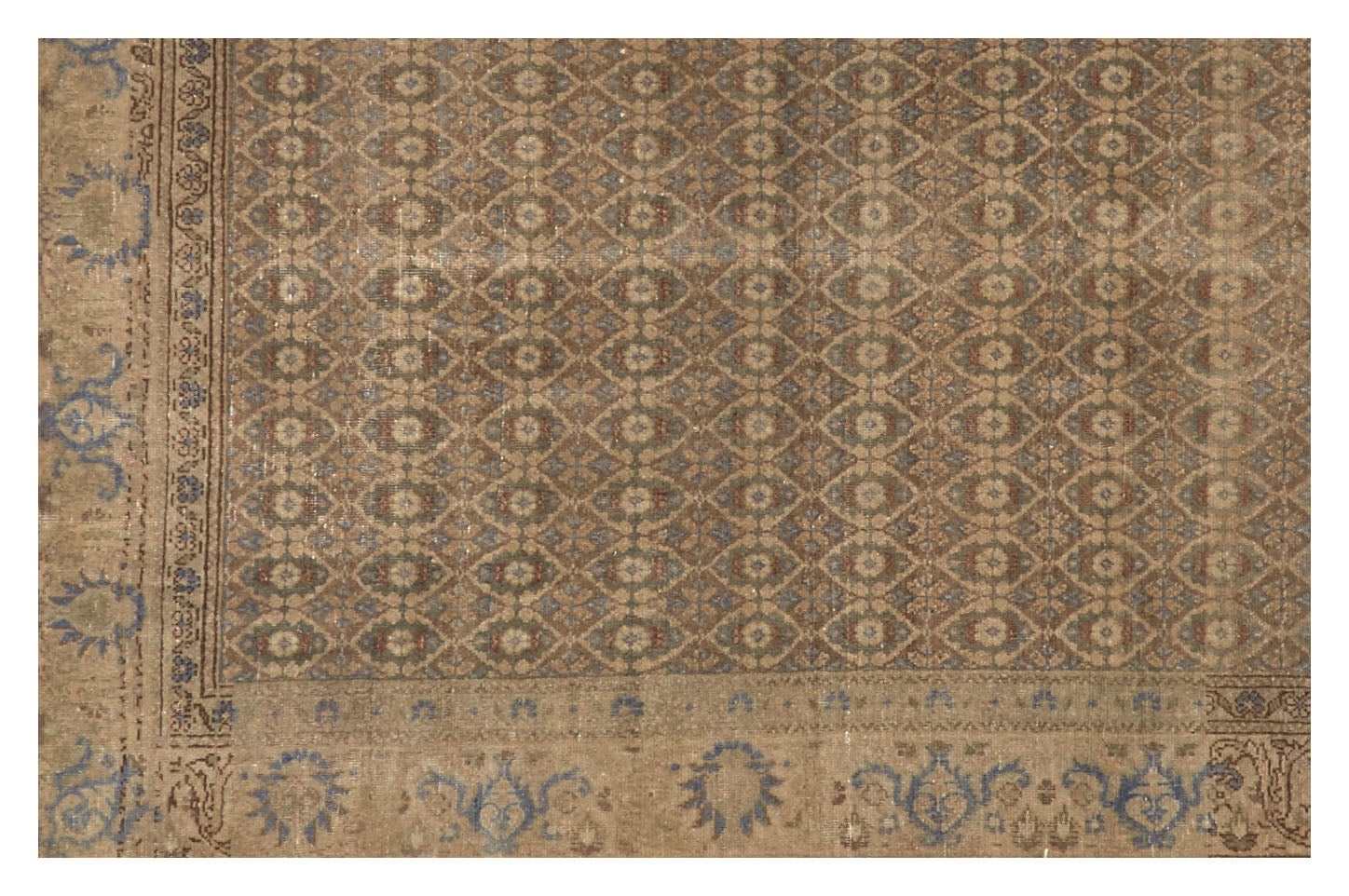 Jayson Home - Vintage Sivas Rug - 6'1" x 4'