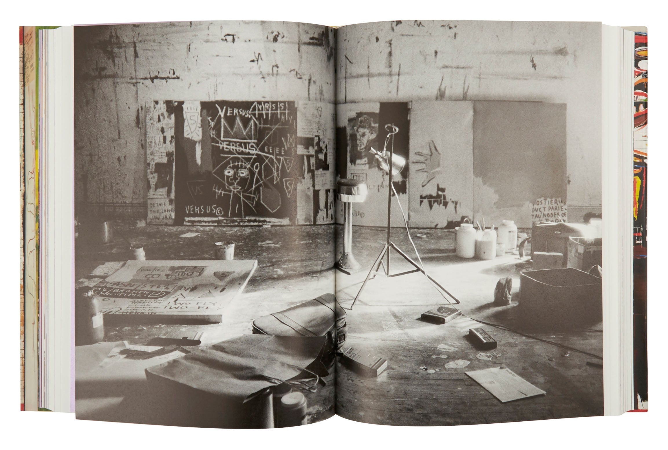 Jayson Home - Jean - Michel Basquiat